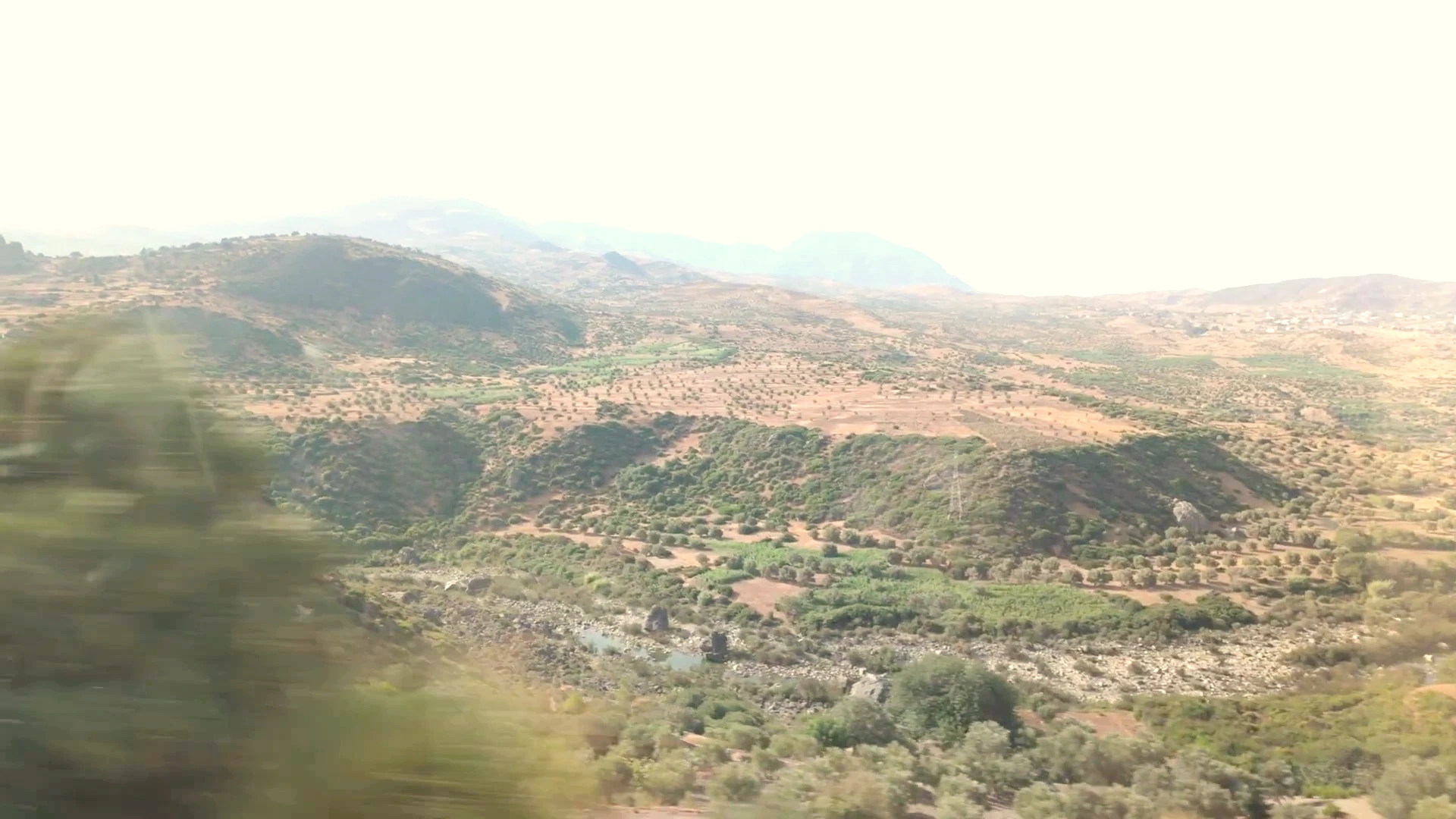 Rif Valley Olive Groves: Agricultural Terracing